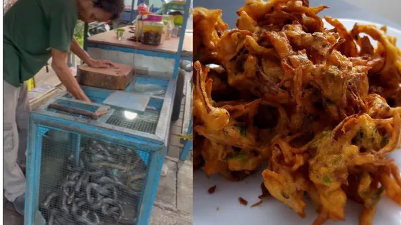 cobra pakoda video