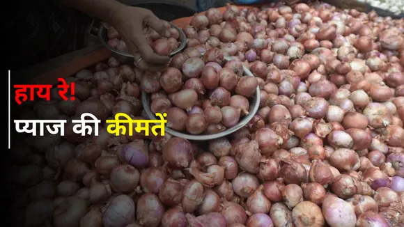 Onion Price Hike