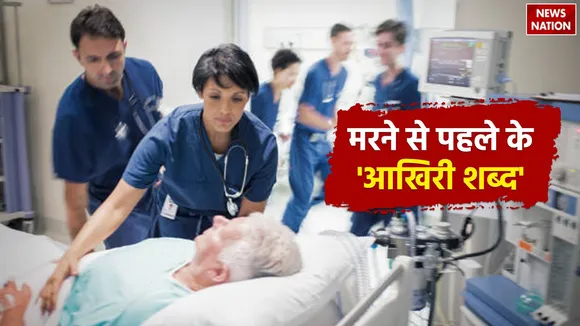 WhatsApp Image 2024-12-30 at 5.18.25 PM