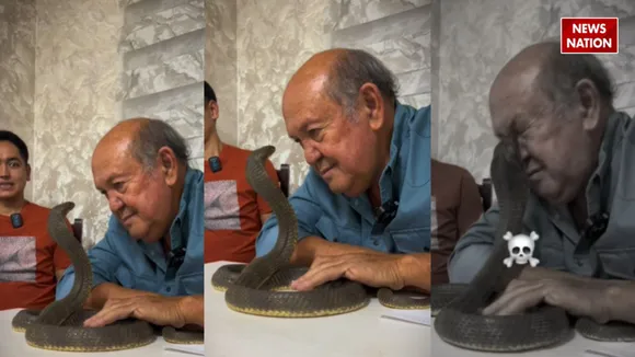 Video of cobra attack goes viral