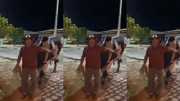 Viral video ox drinker onwer