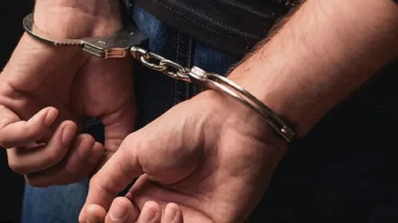 arrest for fraud visa