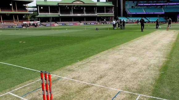 ind vs aus sydney pitch update
