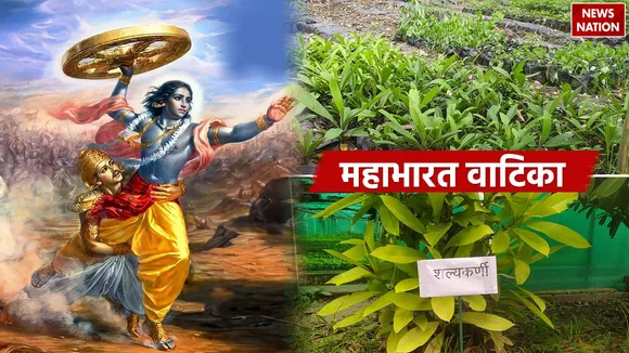 Mahabharata Vatika 