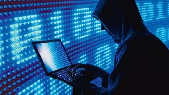 tradding scam