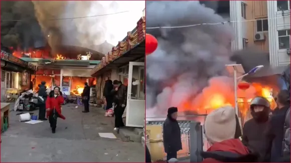 China News
