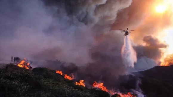 Los Angeles Forest Fire