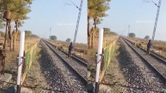 Gujarat wild life video