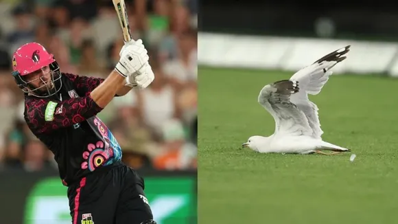 BBL james vince