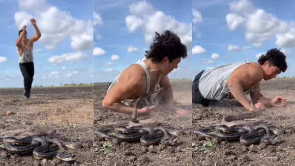 stunt with snake viral video