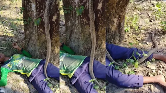 Viral video of snake with man