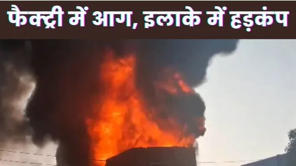 UP News
