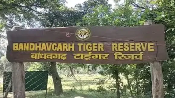 bandhavgar tiger reserve