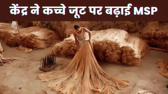 MSP on Raw Jute