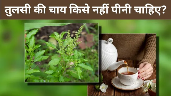 Tulsi Chai