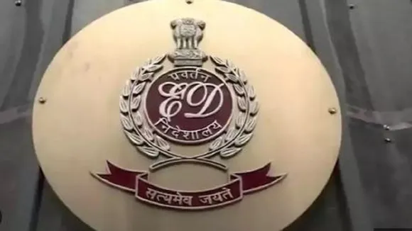 enforcement director