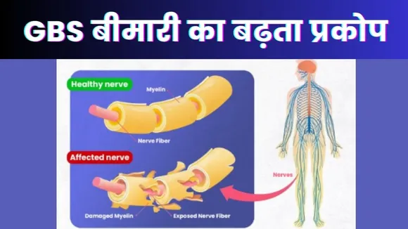Maharashtra News