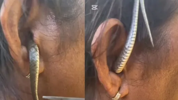 Snake video viral social media
