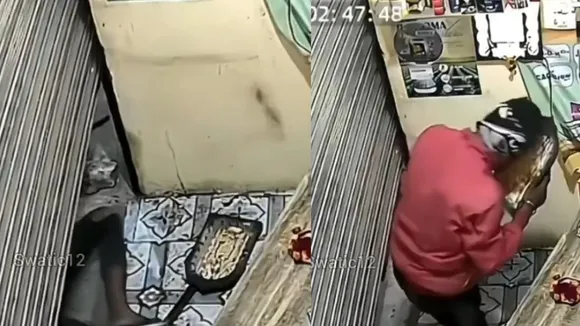 Viral Video thief funny