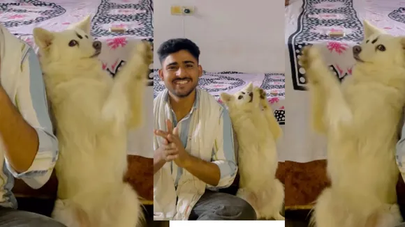 Viral video of dog