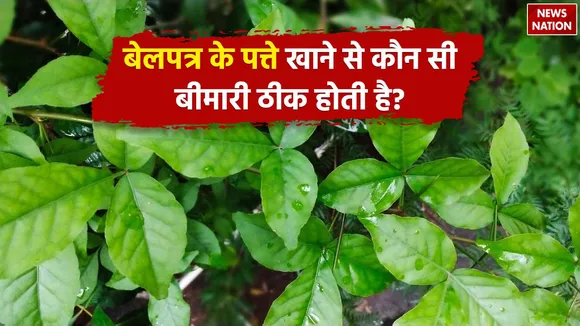 Bael Patra Benefits