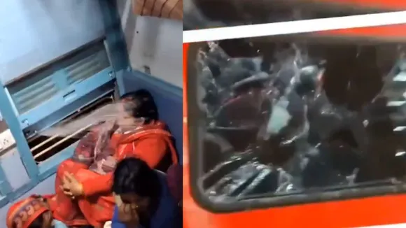 Mahakumbh Viral Video: