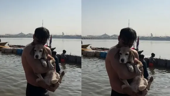 viral dog video sangam