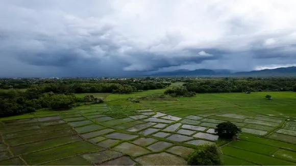 Rain Alert 15 February