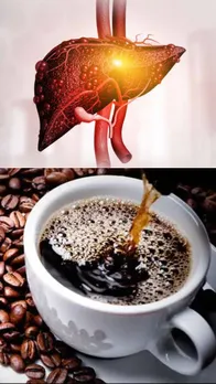 fatty liver