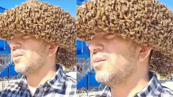 bee home at man head