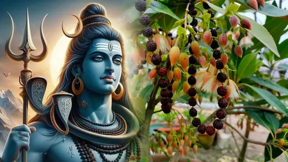 Mahashivratri 2025 Upay