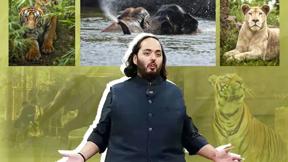 anant ambani Image