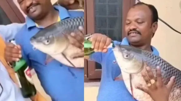 viral video social mediaa