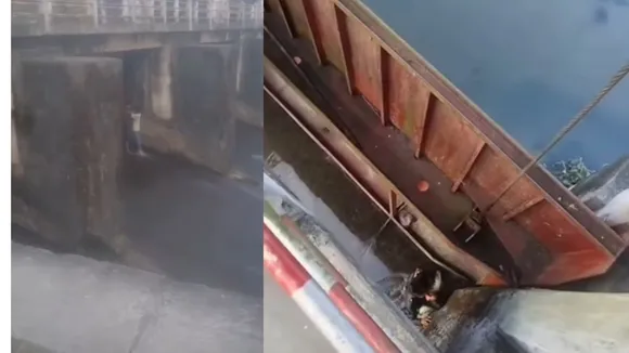 couple romance video under dam
