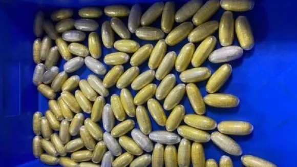 Mumbai Drugs Seized