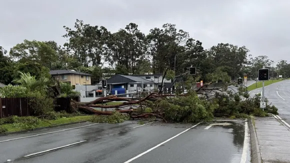 Cyclone Alfred