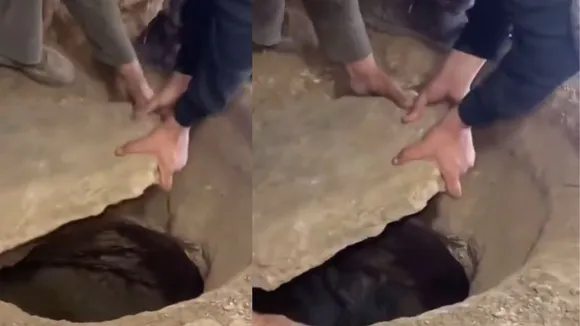 viral weird video
