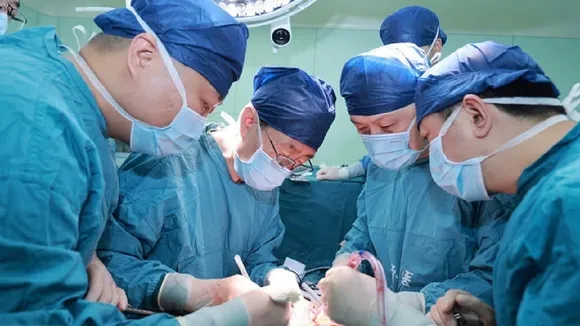 Doctors in China transplanted a pig's liver into a brain-dead human