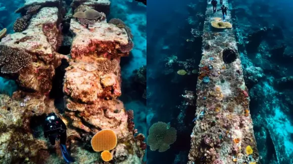 ram setu bridge viral video