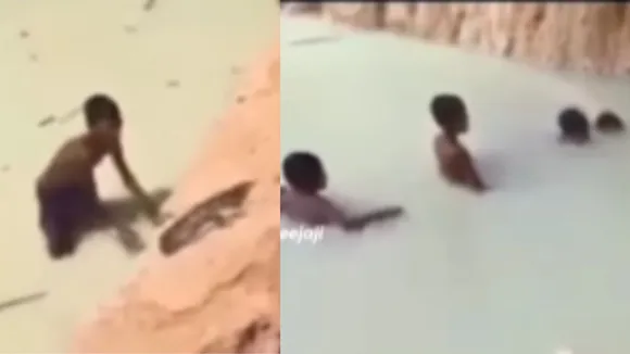 Children caught the python g