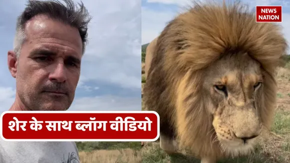 Viral Video lion attack