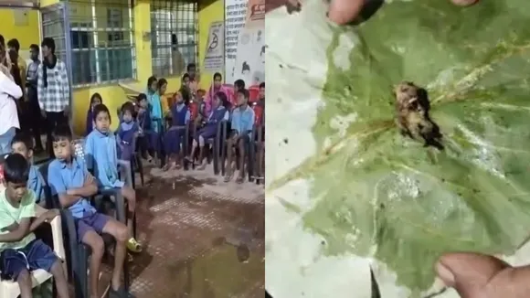 Mid day meal lizard found
