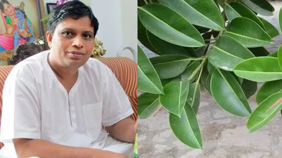 Acharya Balkrishna Tips