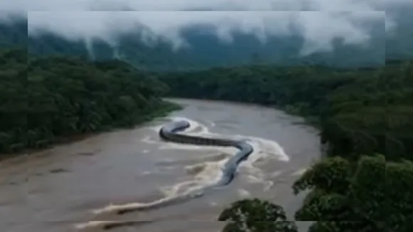 world's longest snake 