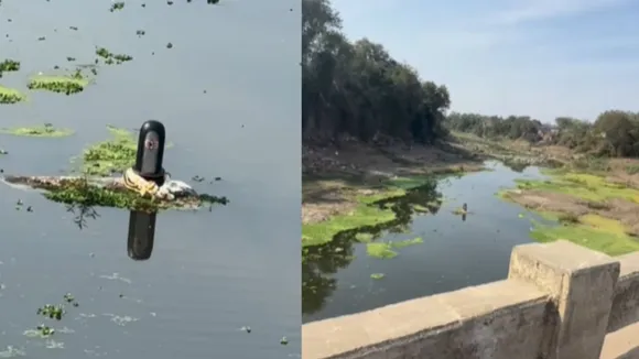 viral video shivling