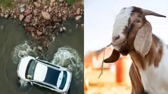 Jabalpur Accident