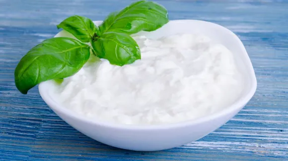 Curds In Summer 