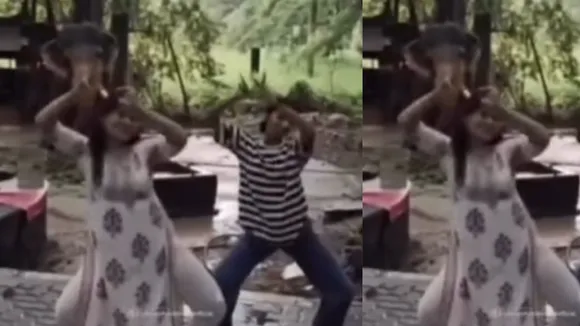 viral dance hathi video