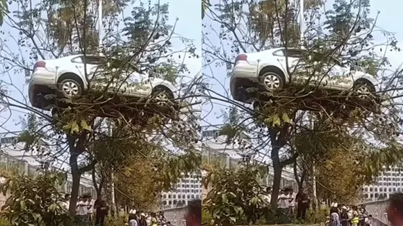 car park video viral