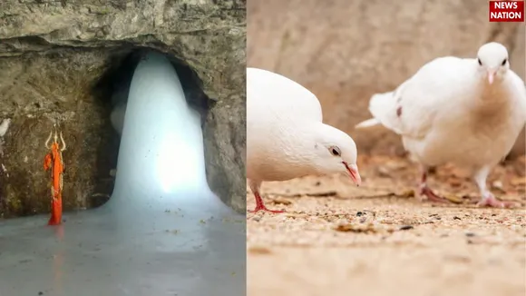 Amarnath Yatra 2025